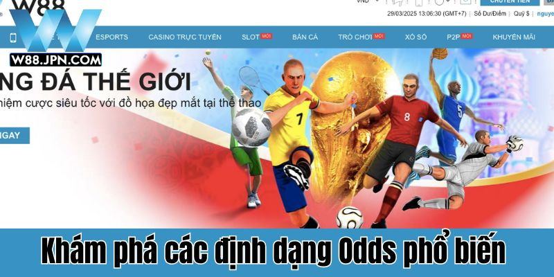 Odds là gì? W88