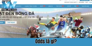 ODDS là gì?