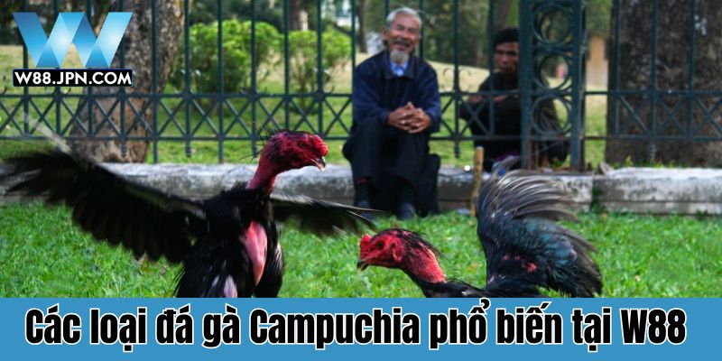 Đá gà Campuchia W88
