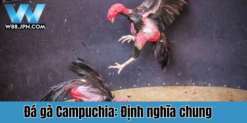 Đá gà Campuchia: Định nghĩa chung